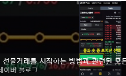 ̺Ʈ ī,   ۷ι    ȭ